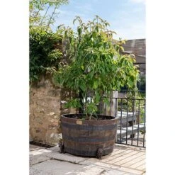 Antique Bronze Coloured Sitting Lion Potty Feet - Plant Pot Feet -Plants Sale PF0094 3 new