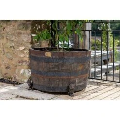 Antique Bronze Coloured Sitting Lion Potty Feet - Plant Pot Feet -Plants Sale PF0094 4 new