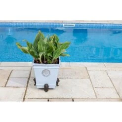 Antique Bronze Coloured Sitting Lion Potty Feet - Plant Pot Feet -Plants Sale PF0094 7 new