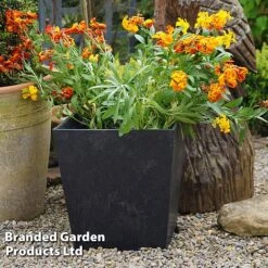 Sonata Garden Planters -Plants Sale PLAN SLATE33CM S48177