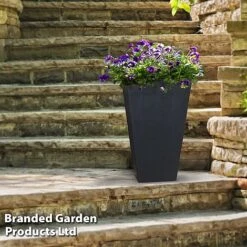 Sonata Garden Planters -Plants Sale PLAN SLATE50CM S48190