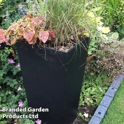 Sonata Garden Planters -Plants Sale PLAN SLATE70CM S48200