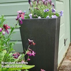Sonata Garden Planters -Plants Sale PLAN SLATE70CM S48202
