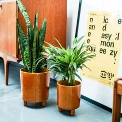 Pisa Mustard Planter H19Cm D16Cm -Plants Sale PMP19 2