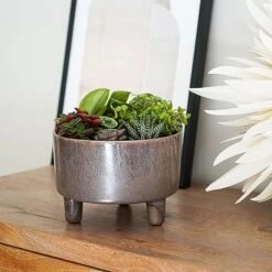 Pisa Reactive Glaze Bowl Mocha H14CM D19CM -Plants Sale PRGBM19 1