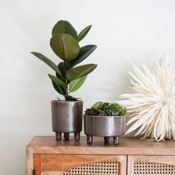 Pisa Reactive Glaze Bowl Mocha H14CM D19CM -Plants Sale PRGBM19 2