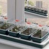 Propagator - Electric Windowsill Propagator Super 7 2 Propagator - Electric Windowsill Propagator Super 7 -Plants Sale PROP KWW2058 A h