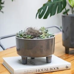 Pisa Slate Bowl H14Cm D19Cm -Plants Sale PSB19 2