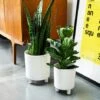 Pisa White Planter H19Cm D16Cm -Plants Sale PWP19 1