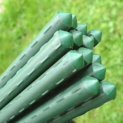 Plant Stake & Tomato Support Garden Canes - 0.75m / 29.5" Long
