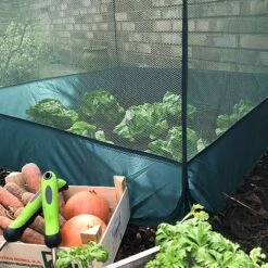 Pop Up Fruit And Vegetable Cage Grow-House (0.65m High) -Plants Sale Pop20Up20Net20Cage200.65201000x100020967kb