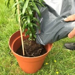 'Pot Master' Drainer Disc (packs Of 3) -Plants Sale Pot20Master201000x100020820kb