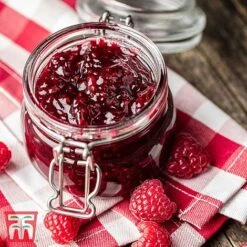 Raspberry Full Season Collection British Bred -Plants Sale RASP RECIPE CUL 2