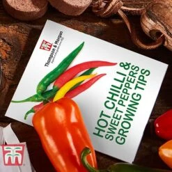 Red Hot Chilli & Sweet Peppers Growing Kit - Gift 9 Red Hot Chilli & Sweet Peppers Growing Kit - Gift -Plants Sale REDH KA8274 D