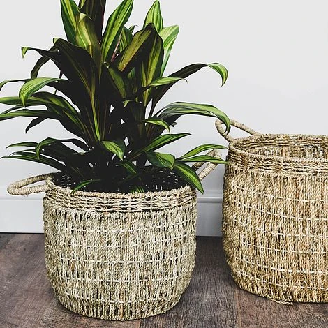 Seagrass Lined Basket Natural Set Of 2 4 Seagrass Lined Basket Natural Set Of 2 - Image 2