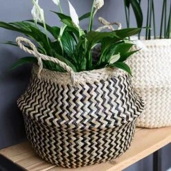 Seagrass Chevron Black Lined Basket Small H25Cm D30Cm -Plants Sale SCBB30 1