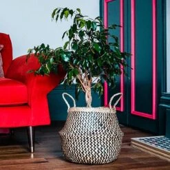 Seagrass Chevron Black Lined Basket Small H25Cm D30Cm -Plants Sale SCBB30 2