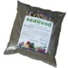 Seaweed Meal -Plants Sale SEAW KC38041