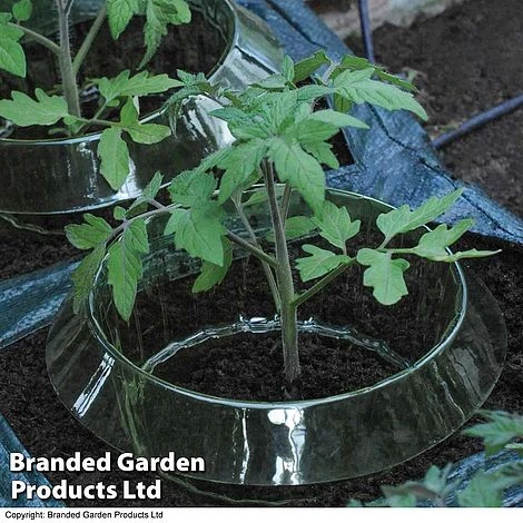 Slug Collars 3 Slug Collars