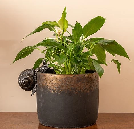 Antique Bronze Coloured Snail Pot Buddy - Pot Hanger 6 Antique Bronze Coloured Snail Pot Buddy - Pot Hanger - Image 4