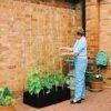 Mini Raised Bed Kit And Crop Support Frame -Plants Sale SURAI13514