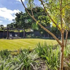 Straightcurve Flex - Garden Edging 75mm Bundle Of 6 Weathering Steel -Plants Sale Straightcurve Flex Garden Edging Flexline 75 2