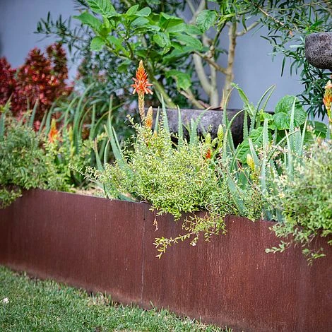 Straightcurve Rigid - Raised Garden Bed 240mm Bundle Of 6 Weathering Steel 3 Straightcurve Rigid - Raised Garden Bed 240mm Bundle Of 6 Weathering Steel