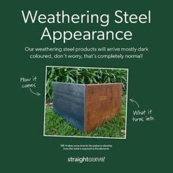 Straightcurve Flex - Garden Edging 75mm Bundle Of 10 Weathering Steel 17 Straightcurve Flex - Garden Edging 75mm Bundle Of 10 Weathering Steel -Plants Sale Straightcurve TM Delivered Appearance Advice 14