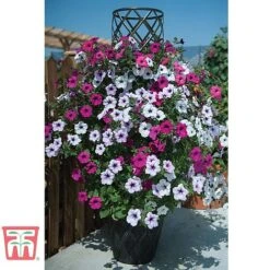 Black & Gold Tower Pot™ -Plants Sale TOWE TKA8073 B1