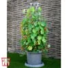 Tower Pot™ Modern Grey Collection -Plants Sale TOWE TKA8074 A