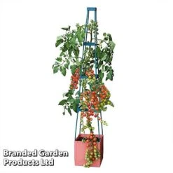 Garden Grow Self Watering Tomato Tower -Plants Sale TOWE TOMSELFWA T045925
