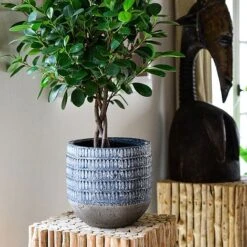 Treviso Planter Denim H20cm D21Cm -Plants Sale TPD21 1