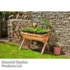Garden Grow Large Wooden Planter 2 Garden Grow Large Wooden Planter -Plants Sale TRUG WOODLARGE L50118