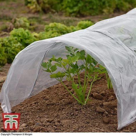 Garden Grow Greenhouse Tunnel (PVC) 300x45x45cm 4 Garden Grow Greenhouse Tunnel (PVC) 300x45x45cm - Image 2