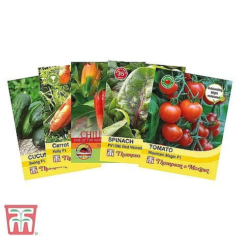 Vegetable Bumper Pack 5 Vegetable Bumper Pack - Image 3
