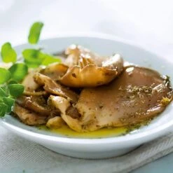 Mushroom Windowsill Kit - Oyster 7 Mushroom Windowsill Kit - Oyster -Plants Sale VEMUS22773