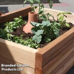 Hydro-Max Self-Regulating Watering System -Plants Sale WATE HYDROMAX3 S48287