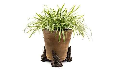 Antique Bronze Coloured Wolf Potty Feet - Plant Pot Feet 5 Antique Bronze Coloured Wolf Potty Feet - Plant Pot Feet - Image 3