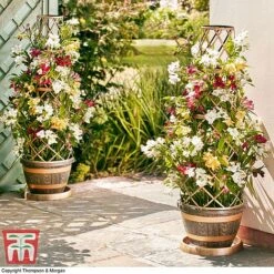 Wooden Barrel Effect Tower Pot -Plants Sale WOOD KB0330 G