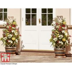 Wooden Barrel Effect Tower Pot -Plants Sale WOOD KB0330 I