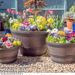 Wooden Barrel Effect Planter – Large -Plants Sale WOOD WG4806 A