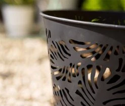 Idooka Fire Bowls -Plants Sale Zoom