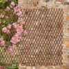 Extendable Willow Trellis - Twin Pack -Plants Sale a8
