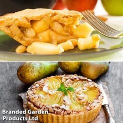 Fruit Tree Staple Duo -Plants Sale appe