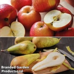 Fruit Tree Staple Duo -Plants Sale appe2