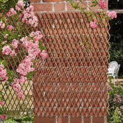 Extendable Willow Trellis - Twin Pack -Plants Sale b8