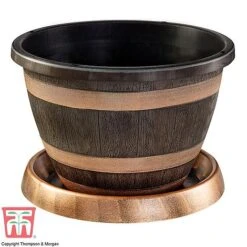 Wooden Barrel Effect Pot & Saucer -Plants Sale barrel