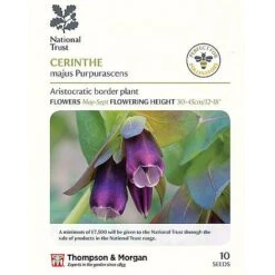 Seed Collection Tin + 10 Packets Of National Trust Seeds -Plants Sale cerinthe majus P2