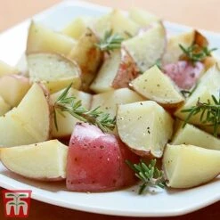 Potato 'T&M All Year Round Collection' 15 Potato 'T&M All Year Round Collection' -Plants Sale desir