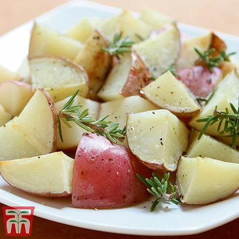 Potato 'T&M All Year Round Collection' 6 Potato 'T&M All Year Round Collection' - Image 4